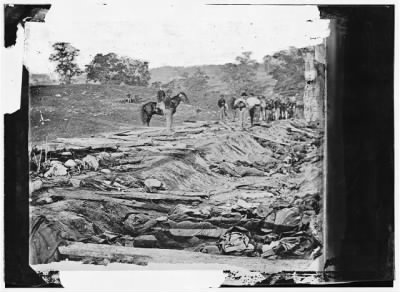 5344 - Antietam, Maryland. Ditch with bodies of soldiers on right wing used as a rifle pit by Confederates