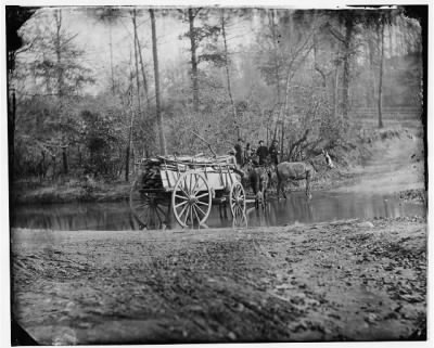 6777 - Virginia. Mule team crossing a brook