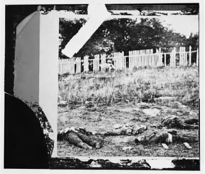 6795 - Antietam, Maryland. Dead soldiers on battlefield
