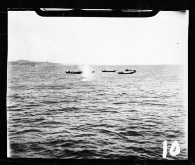 Thumbnail for VPB-102 > ACA Reps Nos 55, 64, 66, 71, 74-76 & 78-Patrol opers along the coasts of Shikoku & Honshu, Japan, 5/24/45-6/19/45