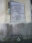 Memorial at Recoaro, Hellebore Flowers placed at his Memorial