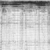 William Matheson 1850 Census.jpg