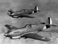 P-40 Warhawk Fighter Escort
