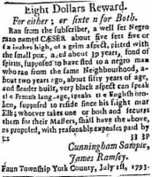 Cunningham Sample 1793 Runaway Slave Notice.JPG