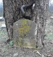 Thumbnail for Elizabeth Carrigan Chamberlain Headstone.JPG