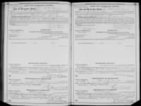 Marriage License A C Gamel & Mary Canada Harris