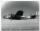 The B-25 SHIRLEY ANN of the 340th BG, 487th BS, Lt Robert. Meek, KIA