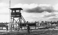 POW Camp Thomas was in/ Stalag Luft III /Germany