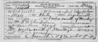 Wallace Lloyd Chamberlain 1908 TX Birth Cert.JPG