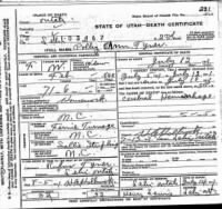 Mary Ann 'Polly' Tyner Death Certificate