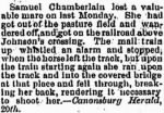 Samuel Chamberlin 1873 Loss of Runaway Mare.JPG