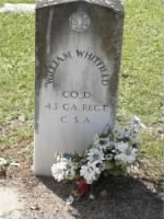 William M Whitfield