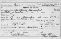 Catharine J Stirling Carmichael 1903 TX Death Cert.jpg