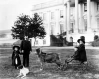 President Harrison's Grandchildren and His Whiskers