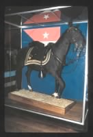 Philip Sheridan's Horse Renzi