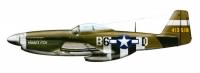 Illustration of his P-51
