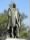 450px-William_McKinley_statue,_San_Jose,_California_-_DSC03823.JPG