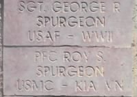 Roy Stephen Spurgeon