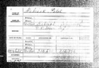 4 Feb 1885 US Civil War Pension Application for Peter Jeremiah Kabrich.jpg