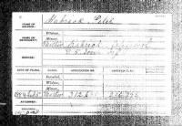 Thumbnail for 4 Feb 1885 US Civil War Pension Application for Peter Jeremiah Kabrich.jpg