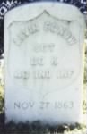 Thumbnail for Alvin Egnew's Civil War grave marker.jpg