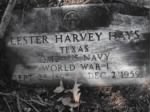 Hays, Lester Harvey 3 Nov 2013 East (262).JPG
