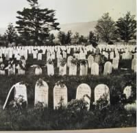 Woodlawn Cemetery.jpg
