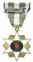vietnam campaign medal.png