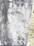 Thumbnail for John C Freiley headstone.jpg