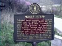 Moses Stepp Marker.jpg