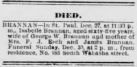 The Saint Daily Globe 29 Dec 1894 - Isabella Brannan obit.PNG