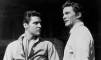 Steve Forrest (right) with Elvis Presley in Don Siegel's 1960 western, Flaming Star.jpg