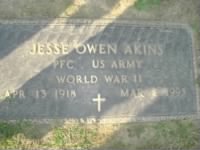 Jesse Owen Akins Military stone.jpg