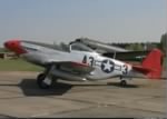 North American P-51D Mustang (Red Tail).jpg