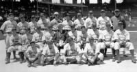 1933 National League.jpg