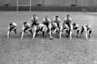 Chicago Bears Offense 1940.jpg