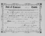 Ann E Chapman 1865 to John M Watkins TN Marr License.jpg