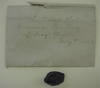 The Bullet that Wounded Col Tracy at Marey's Heights.JPG