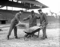 Cubs manager and first baseman Charlie Grimm, from left, head groundskeeper Bob Dorr, and shortstop Woody English, all of the Chicago Cubs.jpg