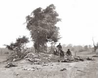 Burial Crew 2 Antietam Alexander Gardner.jpg