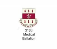 313th Medical Battalion.jpg