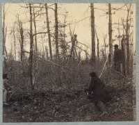 Trees shattered by artillery fire on south side of Plank Road1.jpg
