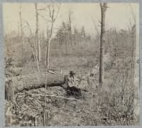 Federal entrenchments across Plank Road about one mile west of Chancellorsville.jpg