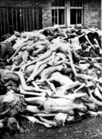 Dachau Bodies.jpg