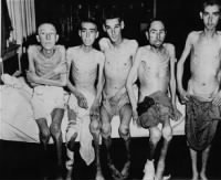 Sobrevivientes de Dachau.jpg