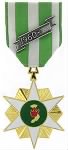 RVN Campaign Service Medal.png