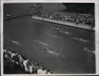 1937 Press Photo Ralph Flanagan Natl AAU swim in ChicAgo.jpg