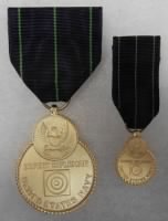 Navy Expert Rifle Marksmanship Medal.JPG