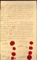 Hidalgo Treaty 1.jpg