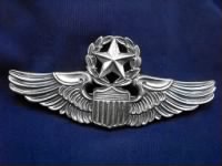 Command Pilot Badge.JPG